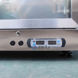 ตู้แช่เนื้อแบบแห้งสำหรับใช้ในครัวเรือน รุ่น DA160 สำหรับบ่มเนื้อวัว - Product Image 6