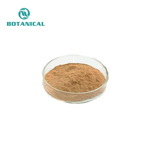 Lentinus Edodes (Berk.) polisakkarit ile % şitaki mantarı ekstrakt tozu polisakkaritleri söyle - Product Image 3