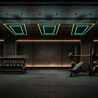 Luminaire linéaire LED suspendu commercial, lampe suspendue géométrique pour les zones d'entraînement en salle de sport