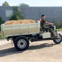 Camion à benne agricole avec système hydraulique Chargeur automatique Tricycle spécial pour l'exploitation minière en Amérique du Sud