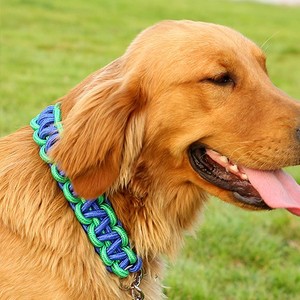 Groothandel Hoge Kwaliteit Lage Prijs Hond Choke Ketting Kraag - Product Image 2