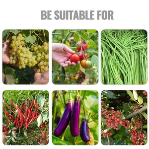 Gloway TRIM công cụ cây rau ngón tay picker ngón tay cái dao cắt găng tay vườn Silicone ngón tay cái Dao ngón tay bảo vệ - Product Image 2