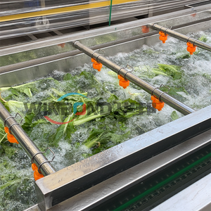 Meyve ve sebze yıkama, ticari karnabahar kabarcık yıkama ve kurutma ekipmanları, soya yıkama ve <span class=keywords><strong>Blanching</strong></span> - Product Image 4