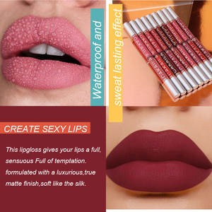2025 labios populares completos y sensuales dado verdadero acabado mate suave sensación de seda lápiz labial formulado - Product Image 6