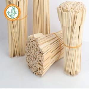 What to Use Instead of Skewer Teppo Paddle Gun Skewer - Product Image 4