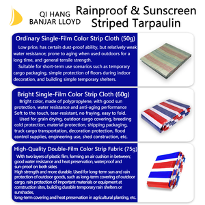 Tela Impermeable de Plástico Personalizable de Alta Calidad de Fábrica, Tres Colores, Engrosada, Resistente al Desgaste y a la Lluvia - Product Image 4