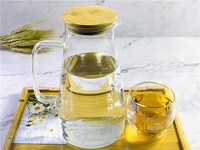 Ensemble de carafes à eau en verre transparent faites à la main avec poignée et couvercle, style bohème, écologique, capacité de 1600 ml, facile à utiliser