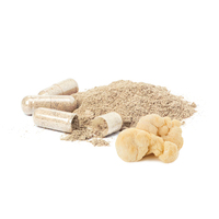 Capsules d'extrait de champignon Crinière de lion 100% pur (Hericium Erinaceus) – Nootropique et Complément Cérébral – 60 gélules – Vente en gros OEM