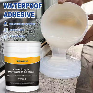 Revêtement <span class=keywords><strong>transparent</strong></span> imperméable invisible à haute adhérence 1 kg 20 kg pour mur extérieur - Product Image 1