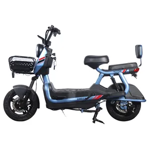 Electric bike 48V 2 Seats Electric Scooters Adult Cycle E Bike Parts Electric Bicycle