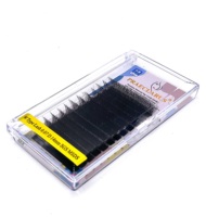 Extensions de cils en gros 0.07W, courbure C, D, DD, logo personnalisé accepté, volume W Lash