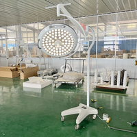 Lampe chirurgicale LED sans ombre pour clinique vétérinaire, source de lumière froide à intensité réglable, verticale, pour examen médical au plafond