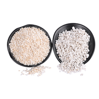 Granulés de perlite expansée poreuse, blanc pur, légers, 1-3 mm, qualité horticulture, amendement du sol hydroponique, aération, drainage