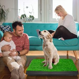 Grand chien toilette Pet Loo réutilisable chien herbe <span class=keywords><strong>pipi</strong></span> Pad lavable chiot chien chiot pot tapis d'entraînement avec plateau - Product Image 3