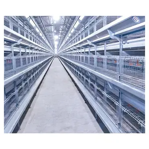 Hot sale high rearing efficiency stainless steel wire customized chicken cage house H chicken cage pullet cage