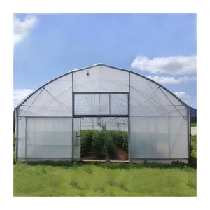 Serre tunnel agricole à structure en acier inoxydable, film plastique PE écologique, pour la culture de tomates, laitues et poivrons - Product Image 1