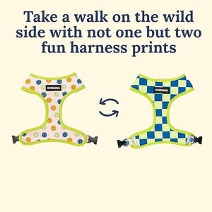 Estetika paduan desain bergaya Modern dengan fungsi membuat hewan peliharaan Anda berdiri mewah <span class=keywords><strong>Harness</strong></span> hewan peliharaan Oem harnes anjing desain 2025 - Product Image 2