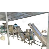 Équipement de fabrication de pâte gingembre ail poudre bon marché
