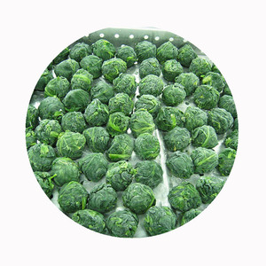 Rau Bina đông lạnh iqf-chất lượng xuất khẩu cao cấp | Thùng 10kg/20kg | chứng nhận HACCP/BRC | Cung cấp nhà máy đáng tin cậy - Product Image 5