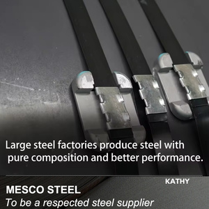 Thép hợp kim thấp cường độ cao hsla s355mc, s420mc, s460mc, s500mc, s550mc, s600mc, s700mc KS khung gầm ô tô 1.5-10mm - Product Image 4