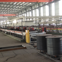 Machine de galvanisation électrolytique de fil Hebei Xingxiang / Ligne de galvanisation de fil 350V 40W