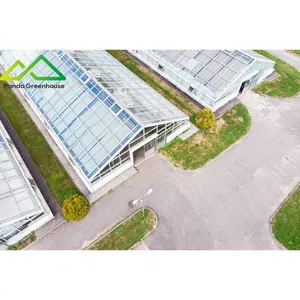 Large span venlo glass Greenhouse single-span agricultural greenhouse turnkey project