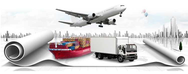 Original Win 11 Pro License Key Software OEM / Retail Digital Key Within 24r Send By Email 5