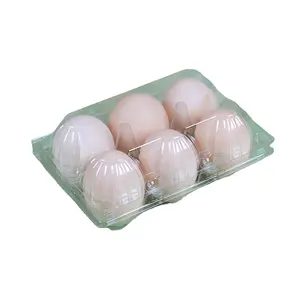 Best Quality China Manufacturer Qatar Egg Tray Producing Machine Without Water