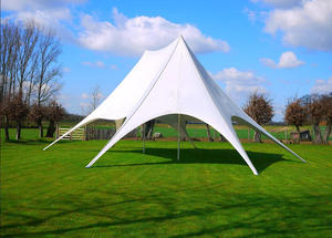 Carpa de Araña Impermeable para Eventos Comerciales, Bodas y Fiestas, Personalizable, con Forma de Estrella, para Exteriores, de Oxford 600D con Marco de Aluminio, Fuguide - Product Image 3
