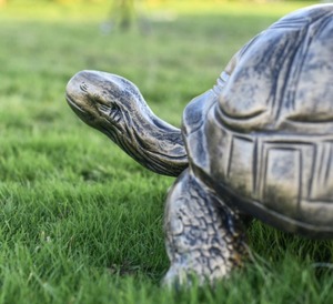 Твердая скульптура в виде черепахи - Product Image 2