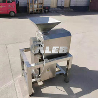 Fruit En Groenten Citroen Mango Appel Tomaat Ananassap Breisel Schroef Extractor Sapmachine