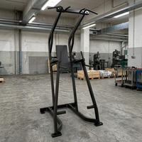 Équipement de musculation à poids libre pour salle de sport commerciale : Tour de musculation, Machine à soulever les genoux verticalement, Machine abdominale