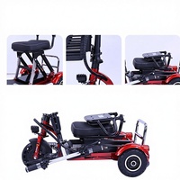 Tricycle Électrique Pliant Transfrontalier pour Adultes, Pièces Détachées, Véhicule de Loisirs pour Personnes Âgées et Handicapées, Mini Chaise, Skateboard Ouvert, Vitesse 30km/h