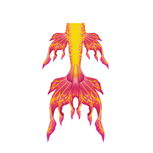 <span class=keywords><strong>Aleta</strong></span> <span class=keywords><strong>de</strong></span> <span class=keywords><strong>sirena</strong></span> profesional <span class=keywords><strong>cola</strong></span> <span class=keywords><strong>de</strong></span> adulto y aletas Mono <span class=keywords><strong>cola</strong></span> <span class=keywords><strong>de</strong></span> <span class=keywords><strong>sirena</strong></span> <span class=keywords><strong>con</strong></span> certificado CE - Product Image 2