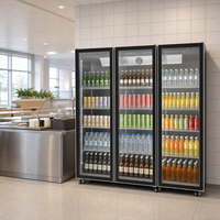Réfrigérateur pour vin, whisky et bière, refroidisseur de boissons pour supermarché, magasin de détail, vitrine réfrigérée