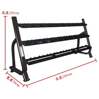 Support d'haltères vertical à 2 niveaux pour la salle de sport, petit support d'haltères
