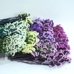 Flor Preservada Don't Forget Me, Regalo para el Día de San Valentín, Decoración de Bodas, Recuerdos de Boda, Esencial para San Valentín - Product Image 5
