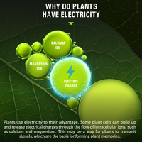 2024 Taux de lampe de culture de plantes de conception populaire augmenté de 15% LED Grow Lights Générateur électronique Générateur de croissance de plantes