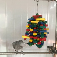 Jouets à mâcher pour perroquets en bois naturel écologique, style dessin animé, jouet coloré pour animaux de compagnie, pour une utilisation en intérieur/extérieur