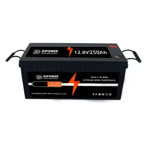 12 Volt 12v 24v 48v 100ah 200ah Bluetooth Bms Lipofe4 Lifepo4 Lithium Ion Marine Battery Batteries Pack With Bms