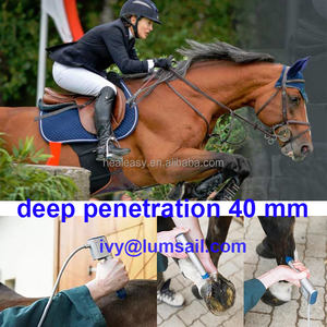 क्विन शॉकवेव उपकरण पशु चिकित्सा उपकरण पशु चिकित्सा उपकरण - Product Image 3