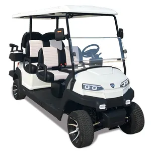 Electric Cart Price ZYCAR Brand Multifunctional Aluminum Frame Independent Suspension Electric Golf Cart With Professional Meter