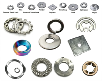 M3 M4 M5 M6 M8 M10 M12 M14 M16 M20 Stainless Steel Galvanized Zinc Plated Flat Washers Wedge Style Plain Finish Copper