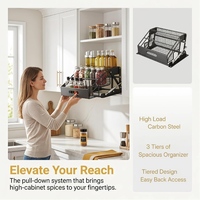 Étagère de présentation extensible à 3 niveaux, étagère à épices coulissante pour armoire supérieure de cuisine ou garde-manger