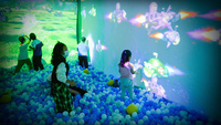 Jeux d'Enfants Interactifs pour Aire de Jeux Intérieure Mur de Projection Interactif Jeux de Lancer de Balle