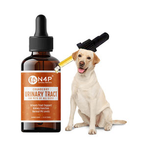 ओम/गंध उच्च गुणवत्ता वाले 60 मिलीलीटर पालतू गुर्दे और मूत्र पथ देखभाल बूंदें बिल्लियों कुत्तों के लिए क्रैनबेरी और विटामिन सी के साथ-स्वस्थ गुर्दे कार्य - Product Image 2