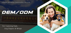 ODM OEM Échantillons gratuits Culottes menstruelles pour femmes Culottes pour le <span class=keywords><strong>cycle</strong></span> Culottes pour filles adultes Couche jetable Culottes menstruelles - Product Image 6