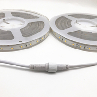 Bande flexible étanche IP68 SMD 2835 24V 60 LED, lumière décorative 12V pour piscines, yachts et navires de croisière