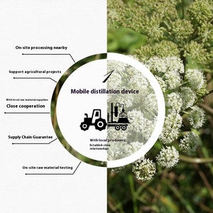 <span class=keywords><strong>Huile</strong></span> <span class=keywords><strong>Essentielle</strong></span> d'<span class=keywords><strong>Angélique</strong></span> Biologique Supercritique Pure, Matière Première Unique pour Aromathérapie et Soins de la Peau, Vente en Gros Chine - Product Image 5
