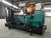 Générateur électrique multi-combustibles Haitai Power 500 kW (gaz, biogaz), 1000 kW (GPL), 1 MW (gaz naturel) – Refroidissement air/eau, 40 % d'efficacité – Prix